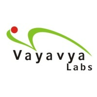 Vayavya Labs